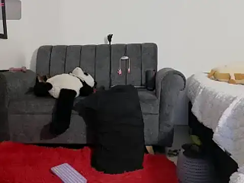 Snapshot of Katt_BDSM chatting on 02/13/25, 03:14 Katt BDSM online show from 02/13/25, 03:14