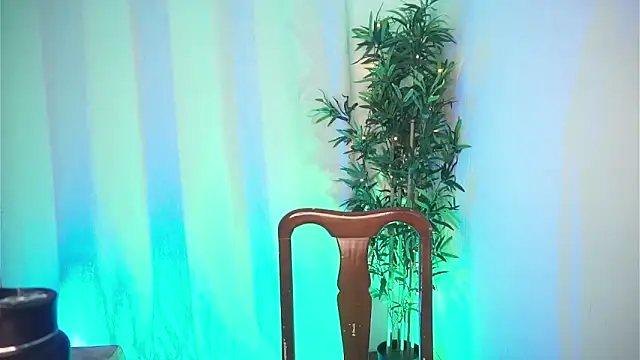 dam0n fr0st online show from 02/04/26, 08:47