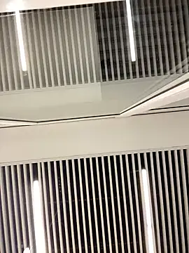 SuzieMurray online show from 02/12/25, 08:27