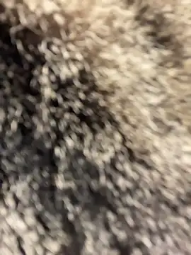 SuzieMurray online show from 04/01/26, 08:26