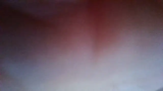 Evasapples online show from 07/20/26, 07:38