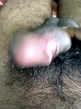 jellydicks online show from 11/03/25, 05:47