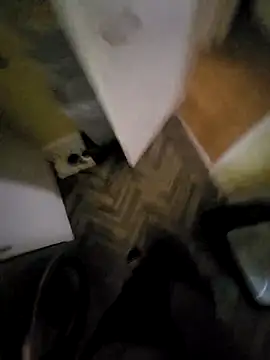 Polish41 online show from 03/31/26, 06:58