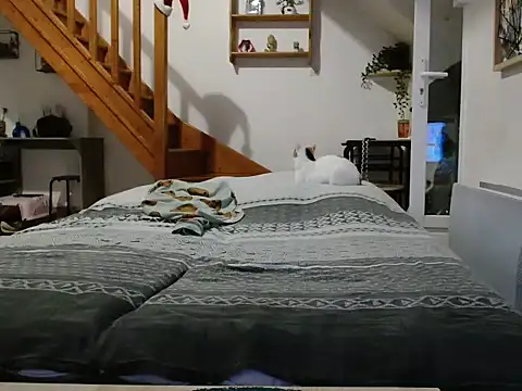 Lauzo21 online show from 12/05/25, 06:33