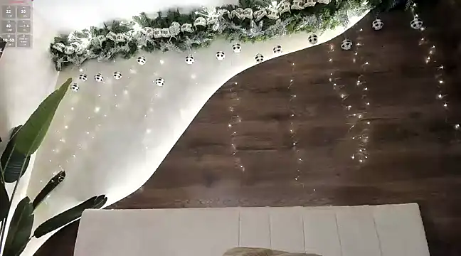 Morgan Hilll  online show from 12/15/24, 04:37