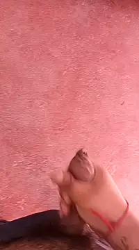 pedritolobito online show from 01/15/25, 01:41