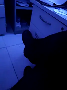 pedritolobito online show from 04/11/26, 03:22