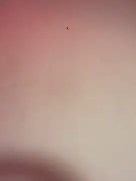  Chartlotte online show from 12/11/24, 11:32