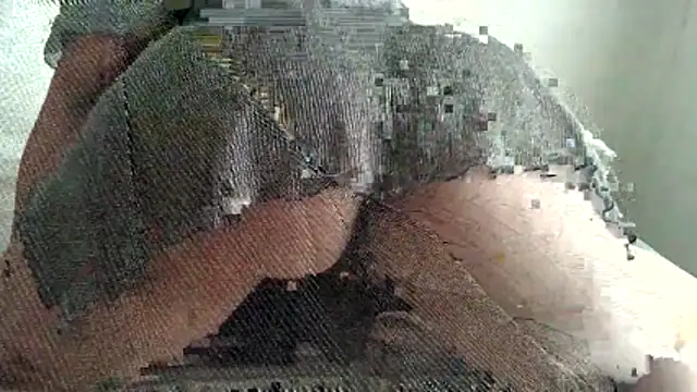 Bobscat11 online show from 05/11/26, 06:30