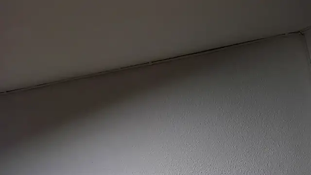 Snapshot of Dimitri_higth420 chatting on 03/15/25, 08:48 Dimitri higth420 online show from 03/15/25, 08:48