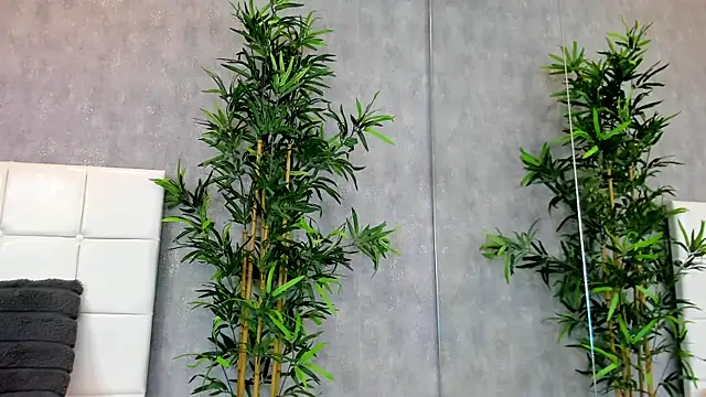 KatelynSparks online show from 01/28/25, 06:27