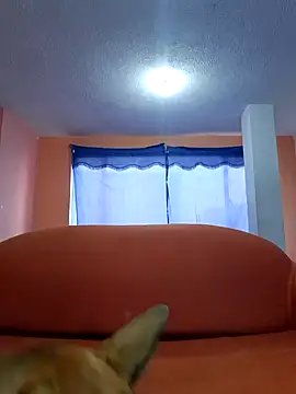 Snapshot of thoom-d chatting on 02/25/25, 09:13 thoom-d online show from 02/25/25, 09:13