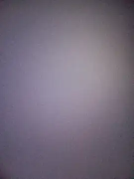 Snapshot of blackbitchh chatting on 02/02/25, 05:21 blackbitchh online show from 02/02/25, 05:21