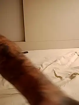 Snapshot of rolesexy chatting on 01/19/25, 02:47 rolesexy online show from 01/19/25, 02:47