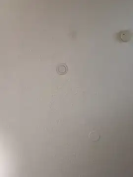 geilerschwanz64 online show from 01/10/25, 07:04