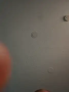 geilerschwanz64 online show from 03/06/25, 01:05