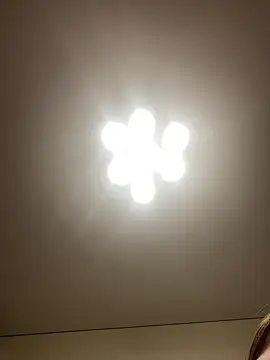 Janet Welder online show from 12/16/24, 07:37