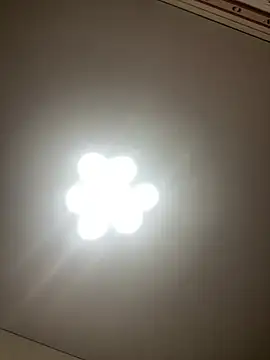 Janet Welder online show from 12/19/24, 06:56