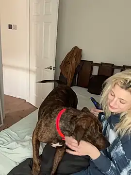 torilux online show from 01/31/25, 08:43