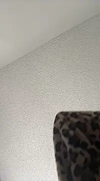 torilux online show from 02/22/25, 02:52