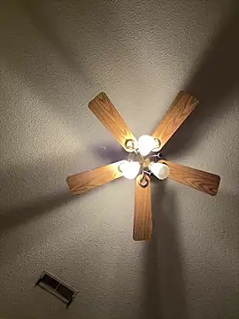 torilux online show from 02/28/25, 11:34