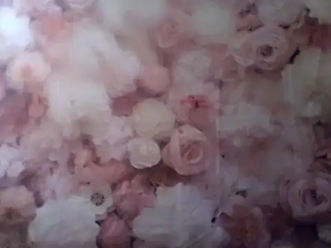 camiliaskye online show from 12/31/24, 04:49