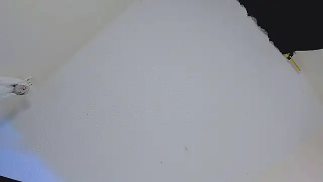 missycanoo online show from 10/22/25, 12:44