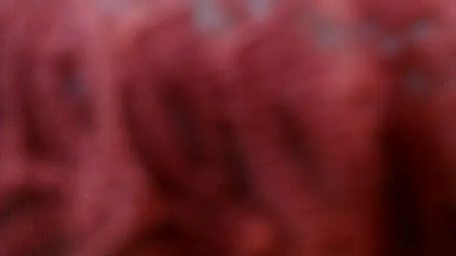 AretiAlisya online show from 04/15/26, 05:14