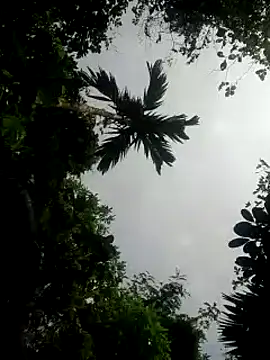 Snapshot of kumaricapalsex2 chatting on 01/26/25, 05:34 kumaricapalsex2 online show from 01/26/25, 05:34