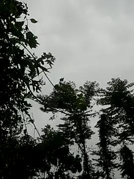 Snapshot of kumaricapalsex2 chatting on 01/27/25, 04:20 kumaricapalsex2 online show from 01/27/25, 04:20