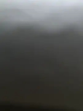 DaanLukaas online show from 02/15/25, 08:11