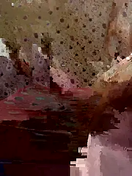 ahross online show from 03/26/26, 11:54