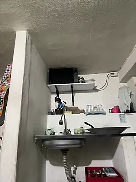 siri duque online show from 04/20/26, 10:29