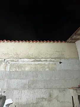 Leo bunny hot online show from 01/10/26, 02:24