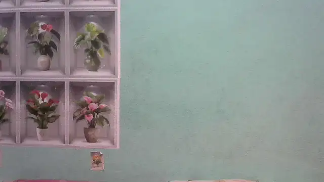 nanhi munni online show from 02/19/26, 01:45