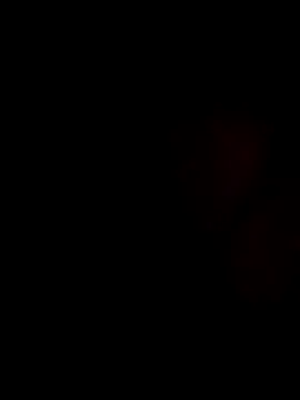 stevenp online show from 11/02/25, 07:22