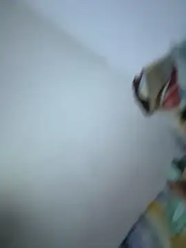 SweetBonniie online show from 11/03/25, 12:02