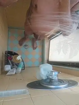 nakedtony81 online show from 03/04/26, 10:43