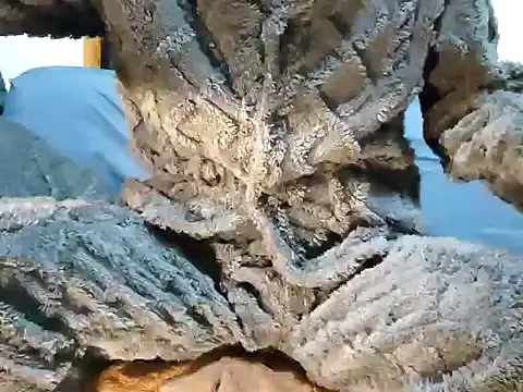 creamlive97 online show from 12/30/24, 12:42