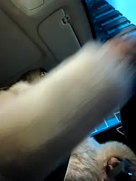 Snapshot of SukyGirl chatting on 01/04/25, 05:37 SukyGirl online show from 01/04/25, 05:37