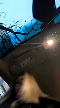 Snapshot of SukyGirl chatting on 02/03/25, 05:40 SukyGirl online show from 02/03/25, 05:40