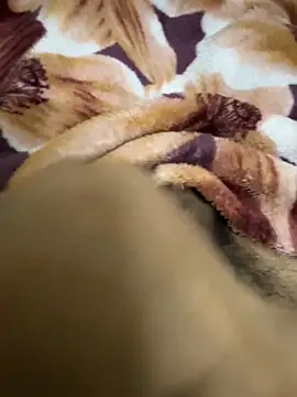 hamed-697 online show from 12/16/24, 08:48