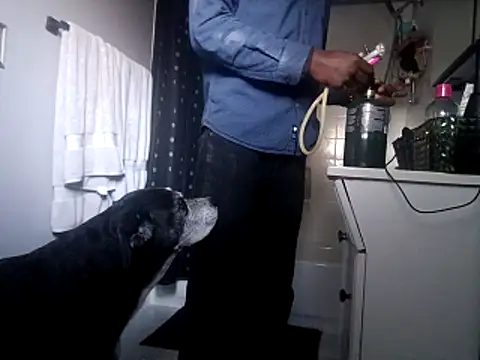 DevinToore online show from 10/31/25, 10:33