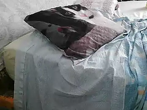 Snapshot of VeneRed chatting on 06/26/26, 02:21 VeneRed online show from 06/26/26, 02:21