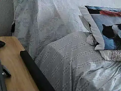 Snapshot of VeneRed chatting on 07/01/26, 01:24 VeneRed online show from 07/01/26, 01:24