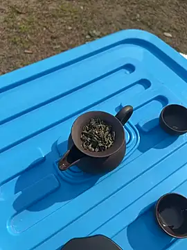 CN-Shanshan online show from 02/01/26, 04:00