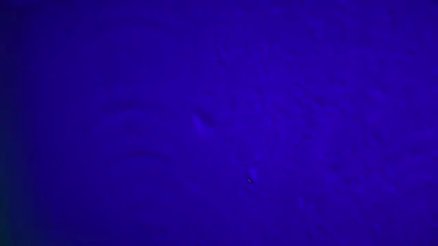 GymBoyVan online show from 02/04/26, 04:07