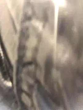 Diamond Bunny  online show from 09/24/25, 03:04