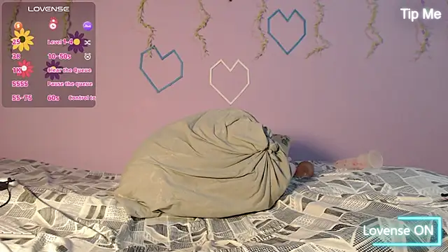 Dante Bear  online show from 02/13/26, 11:17