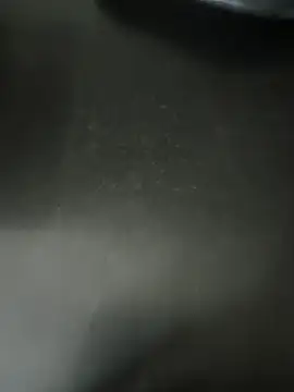 Anamika Kapoor online show from 01/16/26, 06:23